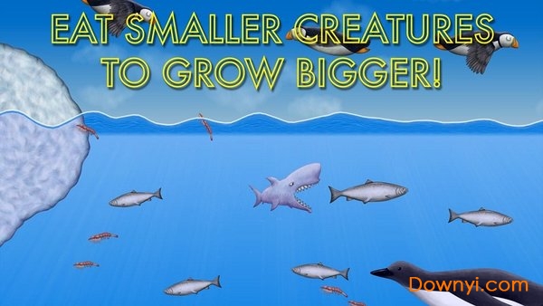 美味海洋最新版 游戏截图